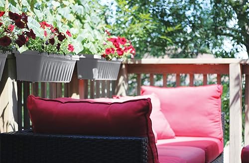 Miniatura 4 de Apollo Exports International - Maceta de riel ajustable