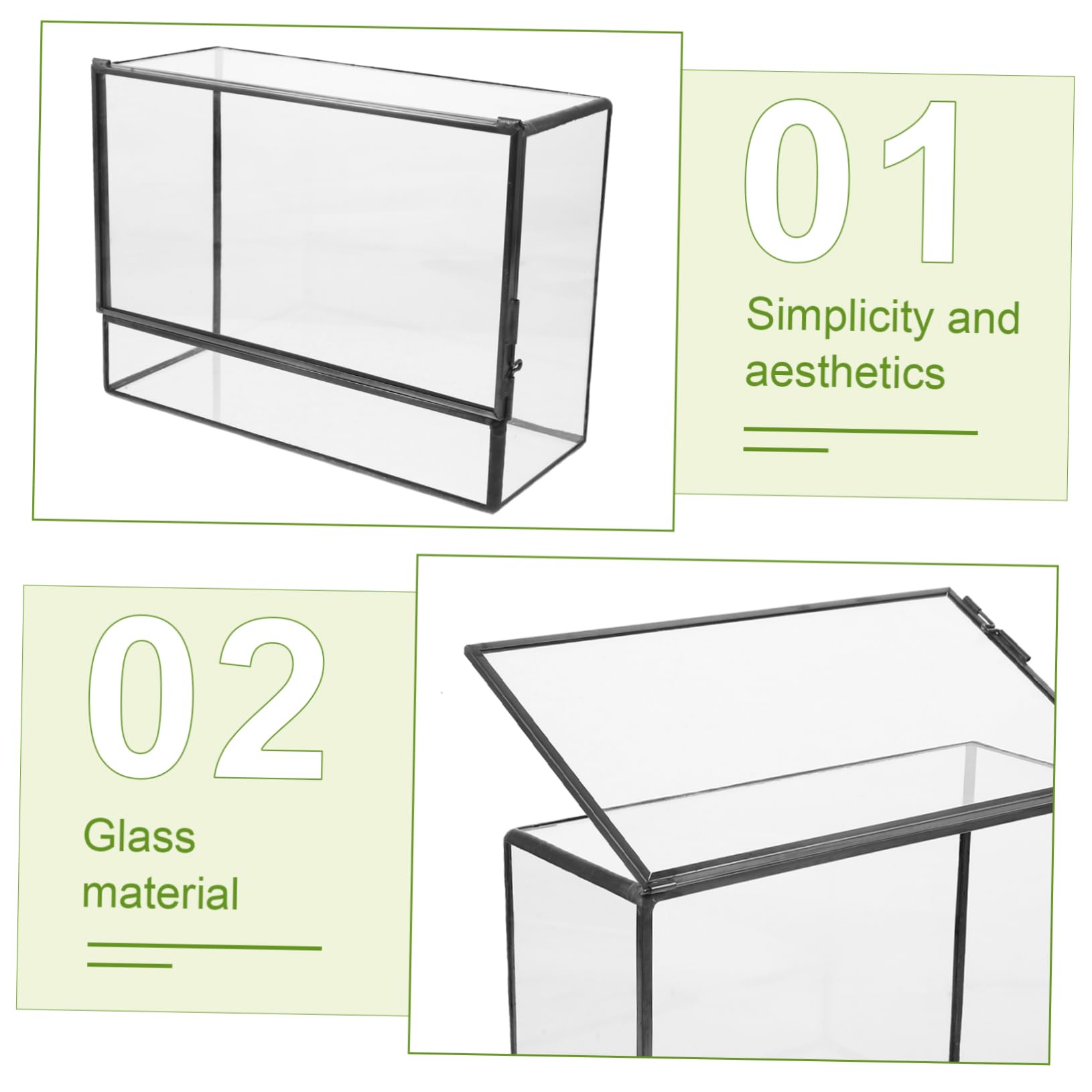 Terrarium in Vetro Geometrico per Piante, Decorazione Tavolo
