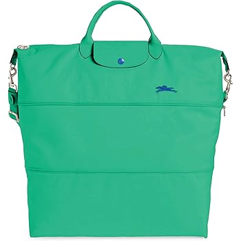 longchamp carry on luggage