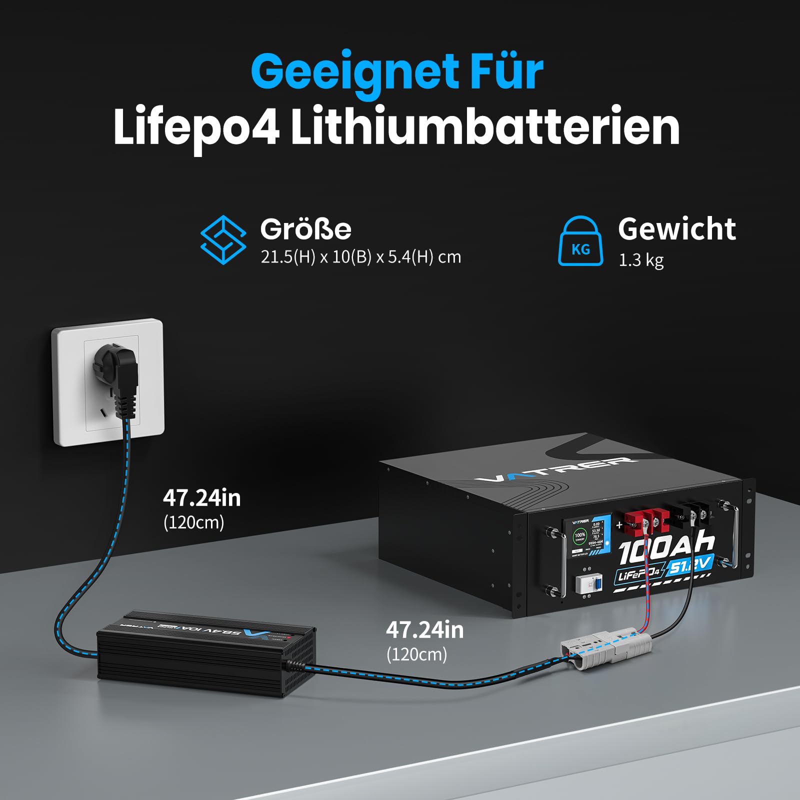 VATRER POWER 58,4V 10A LiFePO4 Ladegerät für 51,2V/48V Batterien