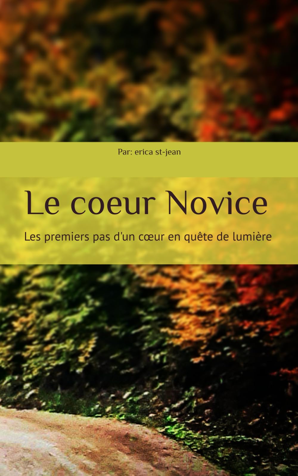 Le coeur Novice: Les premiers pas d'un cœur en quête de lumière (La Trilogie du Cœur)