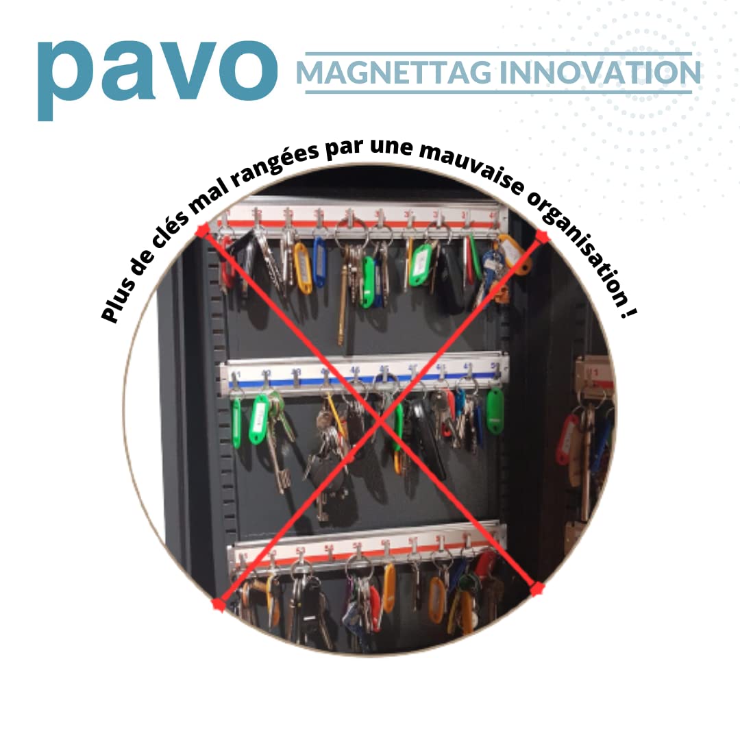 PAVO – Armoire à clés Haute sécurité Magnettag pour 50 clés – Gris foncé, 8013876