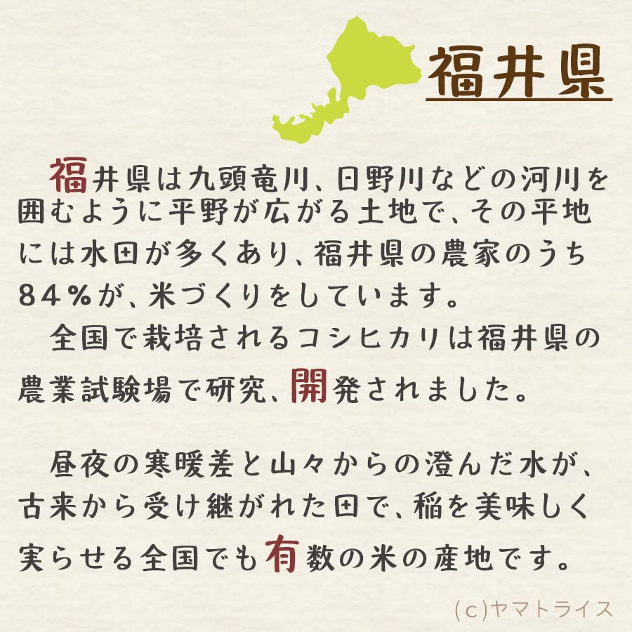 Amazon.co.jp: いちほまれ 令和7年産 福井県産 10kg(5kg×2) 工場直送 Amazon.co.jp: いちほまれ 令和7年産 福井県産 10kg(5kg×2) 工場直送