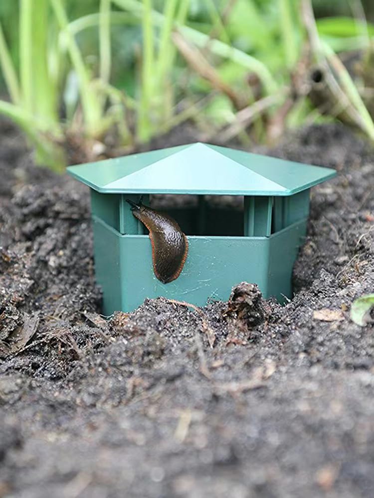 Pièges à Limaces et Escargots, Attrape-Limaces en Plastique Vert, Piège à Bière pour Jardin, Lot de 8 (1)
