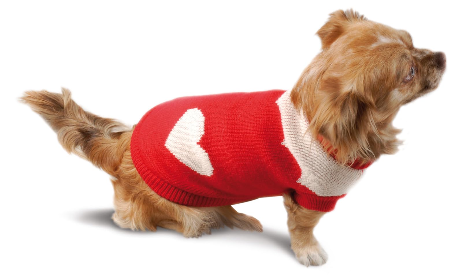 Best Friend - Snow Heart Sweater for Dogs. Sweater with Super Warm Yarn, Half Sleeve and Elasticated Leg Band