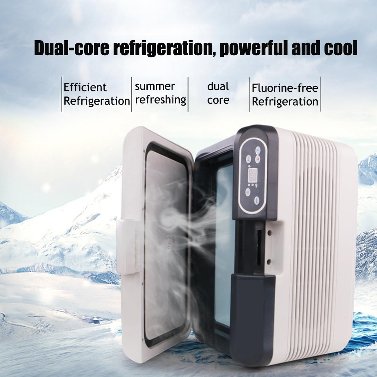 Refrigerador portátil para coche, 12 L, -10 ℃ a 65 ℃, termostato eléctrico silencioso, frío y caliente, refrigerador de camping 12 V/24 V, adecuado para camping, viajes por carretera, picnics