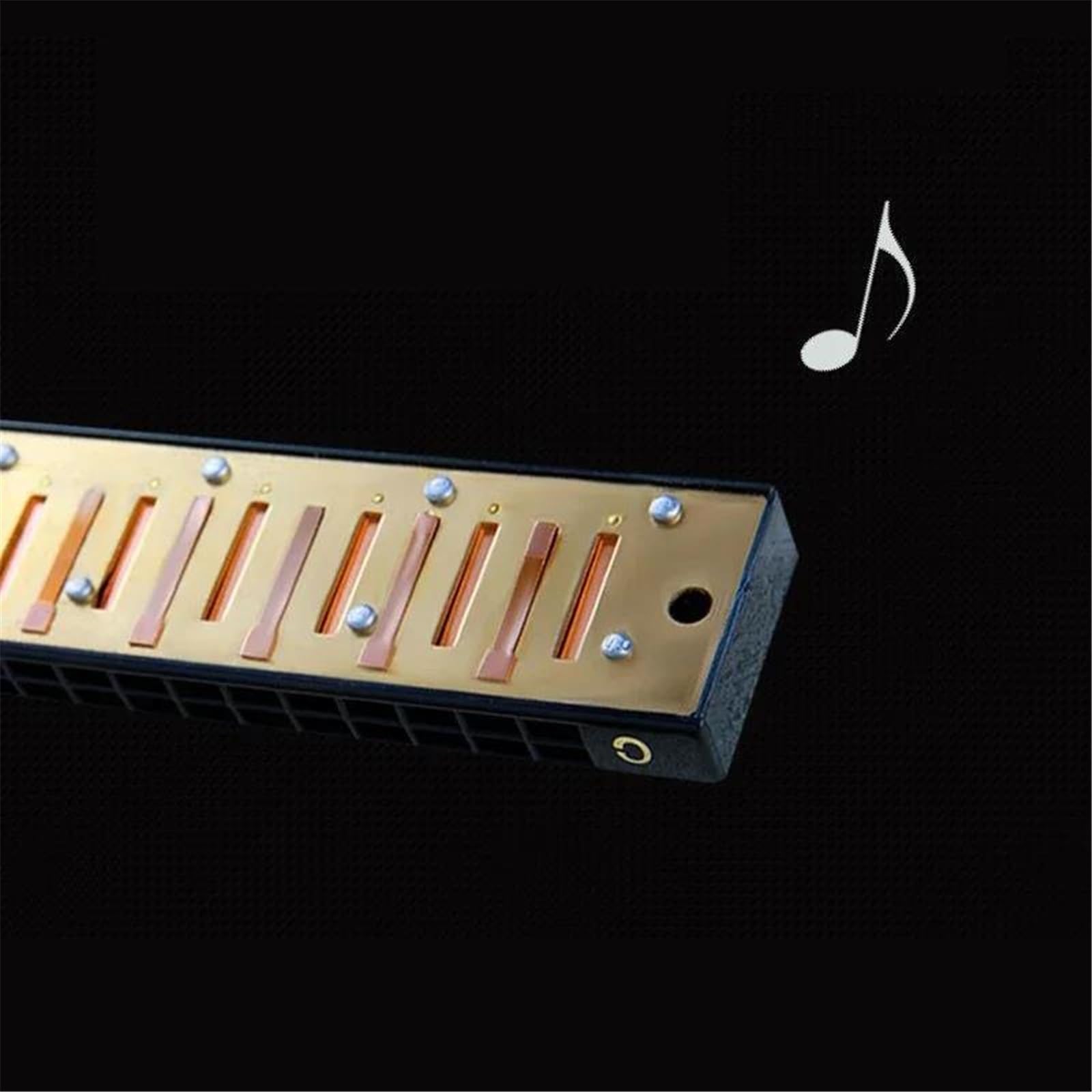 24-Loch-Mundharmonika Metallmund Musikinstrument Anfänger Unterricht Spielen Geschenk Kupferkern Harmonium Blues(Gold)