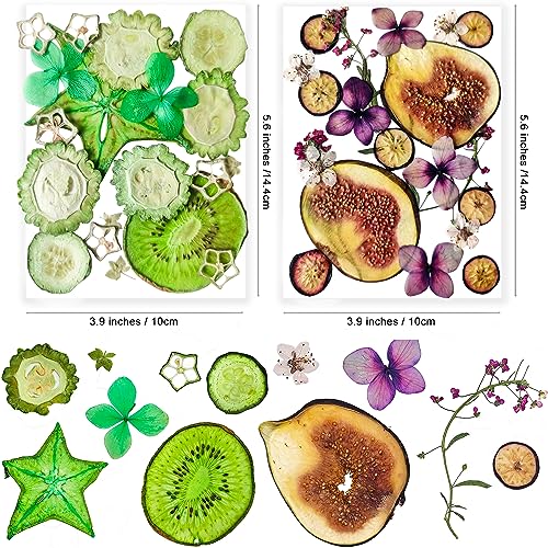 Image of 70PCS+ Nature Dried Pressed Fruits Flowers for Resin Mold, Real Dry Pressing Floral Set for DIY Jewelry Making Nail Card Scrapbook Art Craft Fruits Style