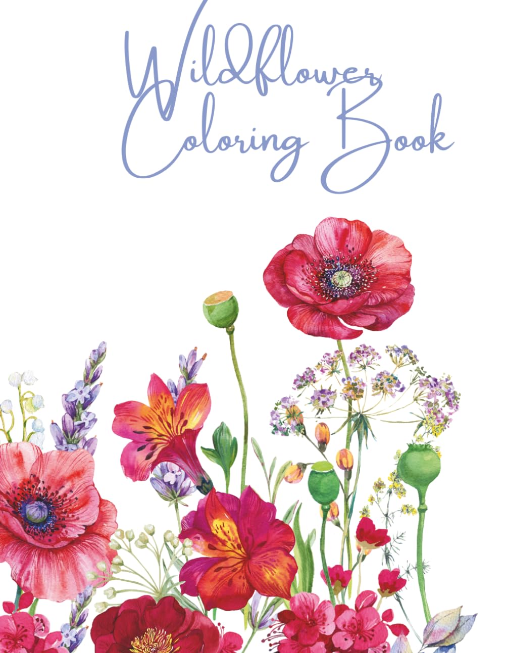 Wildflower Coloring Book