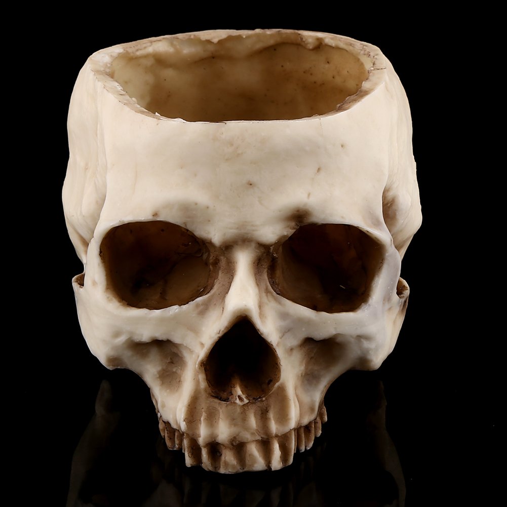 Aqxreight Vaso Portafiori A Forma Di Teschio In Resina – Decorazione Gotica Per Bar, Night Club, Scrivania E Casa - 3