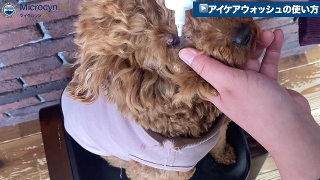 【迅速発送】MicrocynAH VF アイケアウオッシュ 3個セット 新品 楽天市場】【0】マイクロシンAH VF アイケアウオッシュ 120ml目