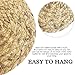 7 Pack Boho Wall Basket Decor - Seagrass Rattan Wicker Wall Decor Round Handmade Hanging Rustic Flat Elegant Wall Art for Farmhouse Living Rooms Bedrooms Display Table Settings Kitchen Home