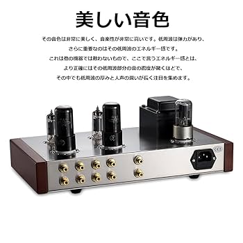 Douk Audio 6J4 + 6P6P 真空管プリアンプ dj041-07.jpg