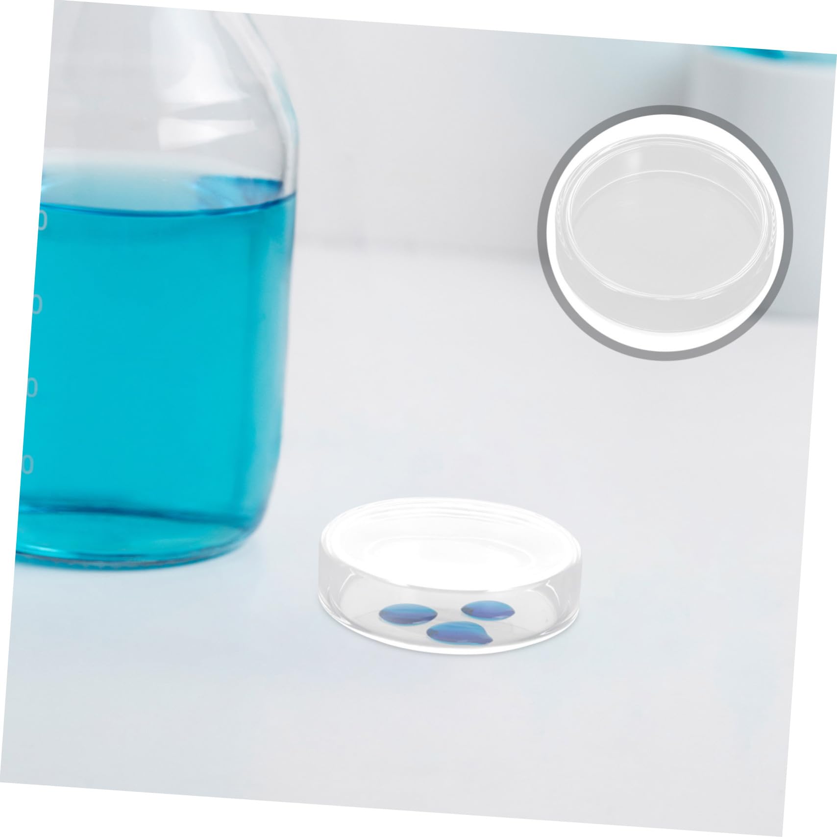Zerodeko 10stücke Glas Petrischale Labor Borosilikat mit Deckel Mikrobiologisches Instrument für Pilzkultur und Untersuchung Nährmedium Zubehör