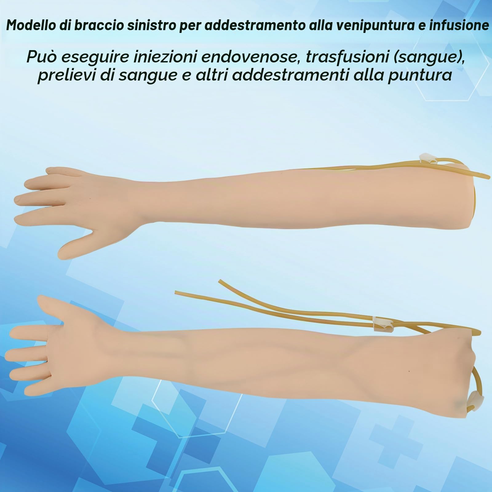DRXRD Kit Prelievo Sangue Modello di Braccio IV con Set Completo di Accessori e Sacchetti per la Conservazione Kit per la Pratica della Venipuntura
