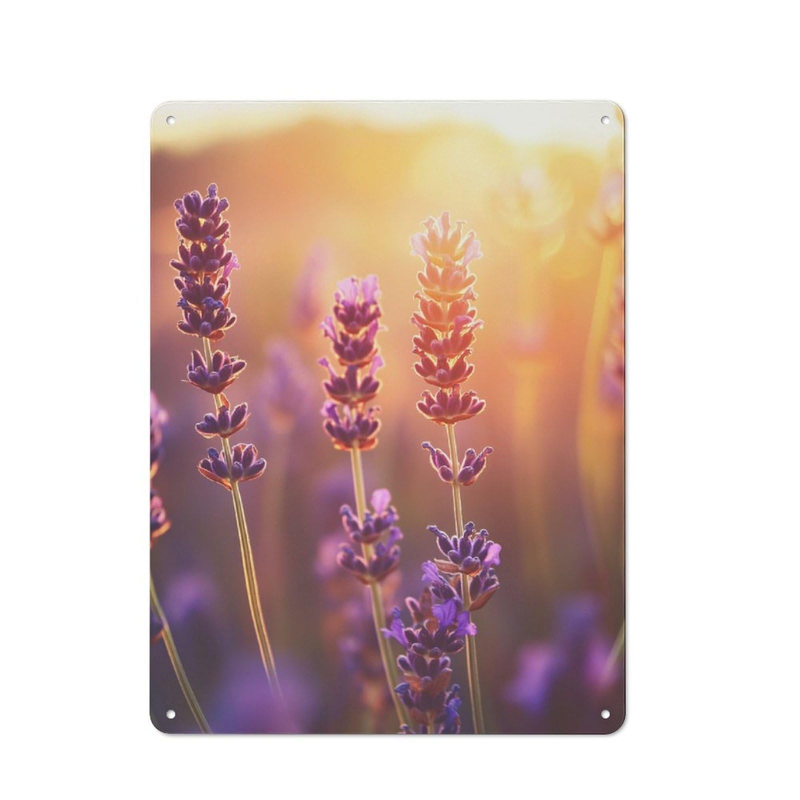 Retro Metal Wall Sign 40x30cm Featuring Lavender Sunset for Hallway Wall, for Garage, Workshop And Man Cave Decoration