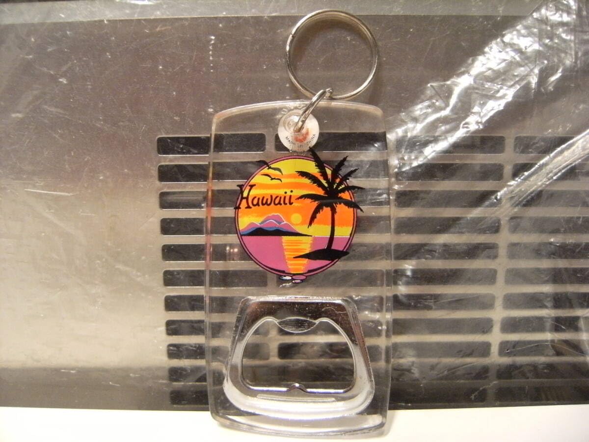 Amazon.co.jp: レトロ90年代おみやげ 観 アメリカ グアム HAWAII