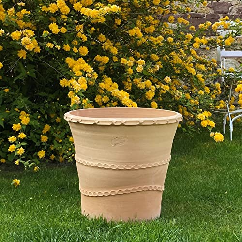 Terrakotta Töpfe Bepflanzen Die 15 besten Produkte im Vergleich