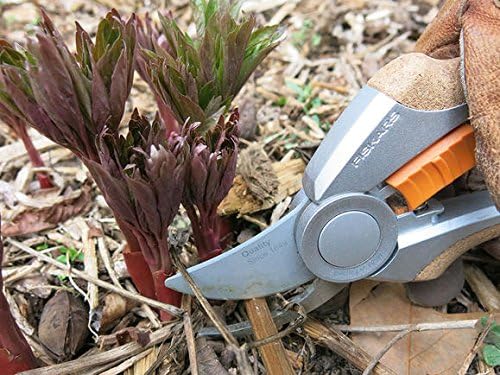 Fiskars Quantum Hand Pruner