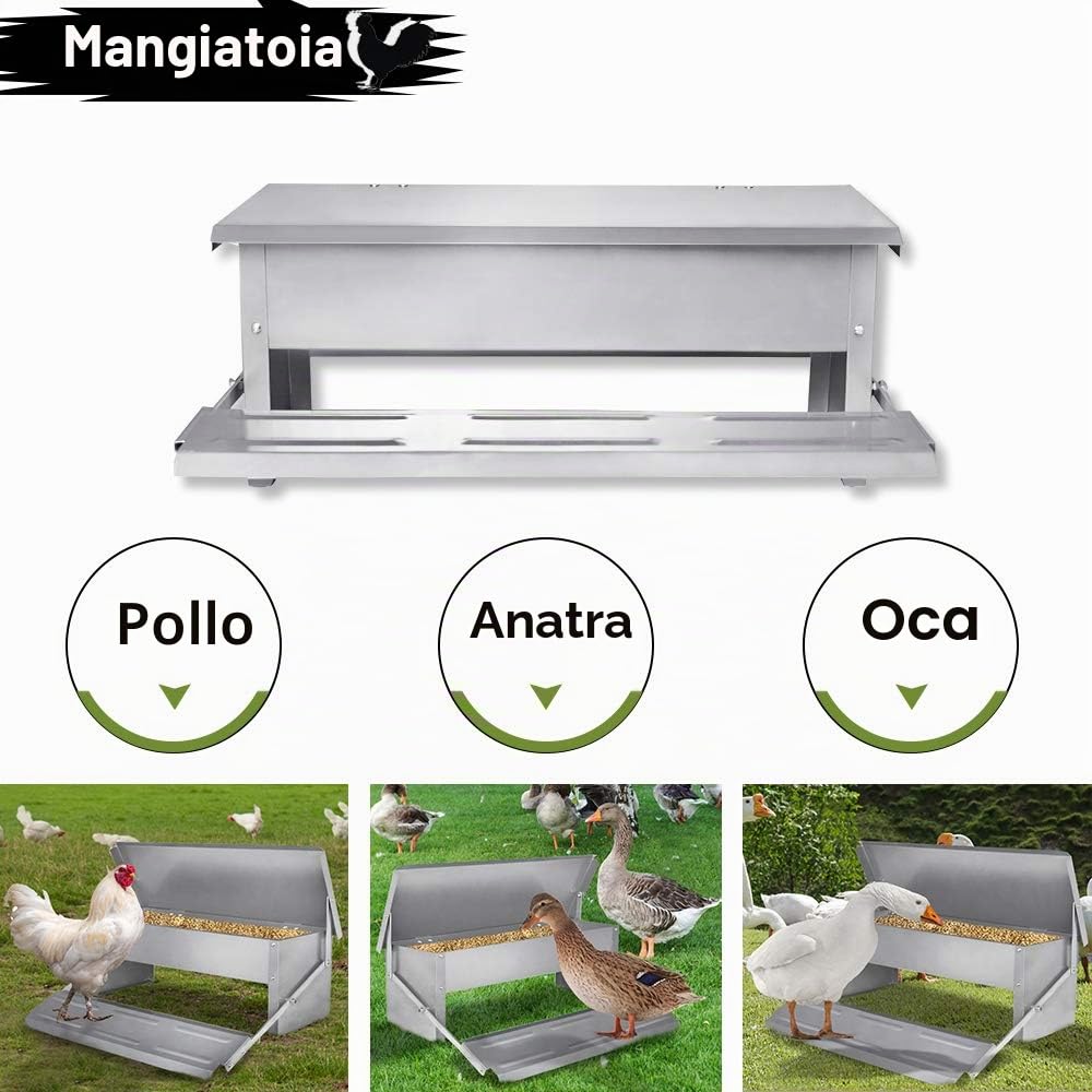 UISEBRT Mangiatoia automatica per galline, in acciaio zincato, impermeabile e a prova di ratti, 5 kg