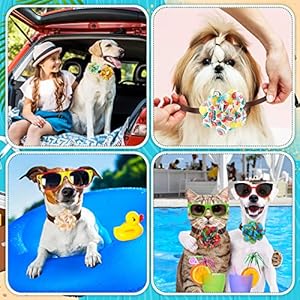 Sanwuta 100 Pcs Dog Collar Flowers Charms for Summer Hawaiian Pet Flower Collar Bow Ties Seasonal Dog Accessories Slides Attachment for Small Medium Large Dogs Cat Puppy Bows Grooming Supplies Cucciolini Doodles Sanwuta 100 pcs dog collar flowers charms for summer hawaiian pet flower collar bow ties seasonal dog accessories slides attachment for small medium large dogs cat puppy bows grooming supplies cucciolini doodles
