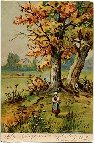 1905 Barzio - Lecco, Immagine di contadina in campagna - FP COL VG Cartolina Postale