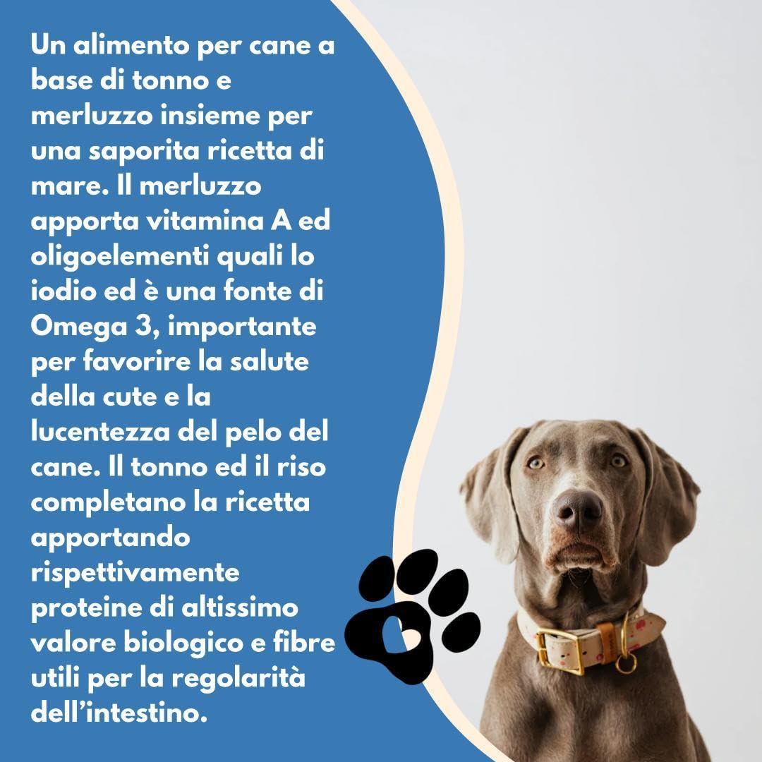 Natural Code - Comida húmeda para perro número 06, sabor atún y bacalao, alimento completo en desfiles para perros adultos de todas las tallas y razas, en lata, 12 latas de 90 gramos cada una, 12 x 90
