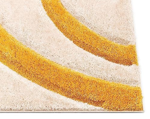 Image of Present Carpet for Room, Shaggy Rugs Fluffy Carpets, Indoor Modern Plush Area Rugs for Living Room Bedroom Kids Room, ETC Pattern 26, Size 5x7 feet