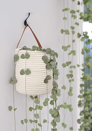 Miniatura 7 de Goodpick  Juego de 2 cestas colgantes tejidas