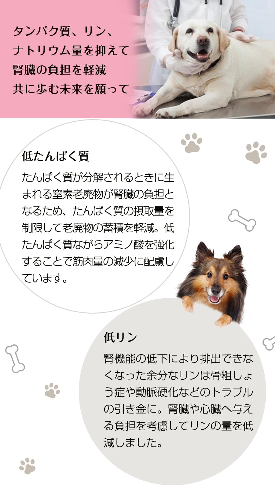 Amazon.co.jp: ナチュラルハーベスト キドニア 腎臓ケア用 1.1kg