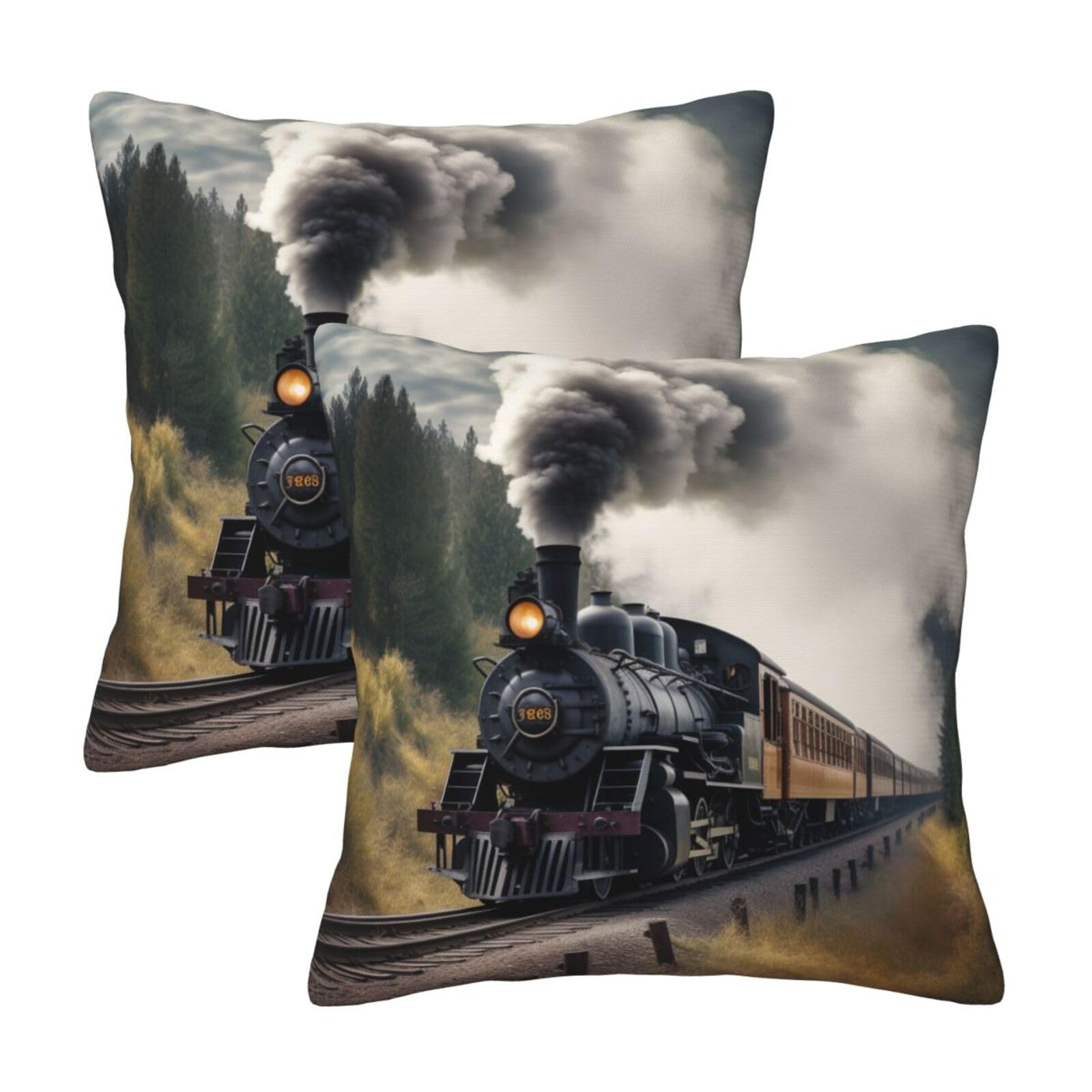 Steam Train Throw Pillow Cases 2 Pack Square Pillowcases Soft Pillow Protectors for Couch Livingroom Sofa Bed Office Car,30x30 CM