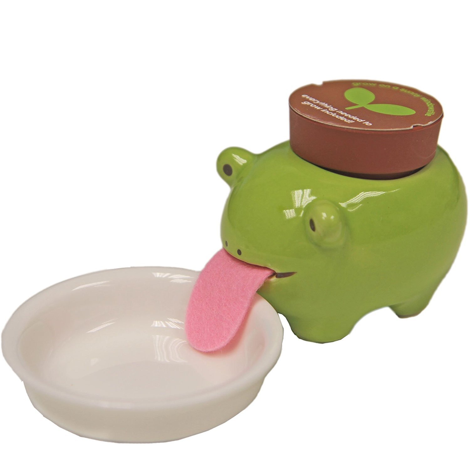8x6x6 cm , Frog Just Contempo Peropon Frog Planter Amazon.in