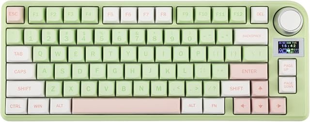 EPOMAKER TH80-X Gasket Mechanical Keyboard, 75% Layout Triple Mode Hot-swap Gaming Keyboard with 4000mAh Battery, LCD Screen, NKRO, RGB for Office/Win/Mac (Pink Green, Flamingo Switch)