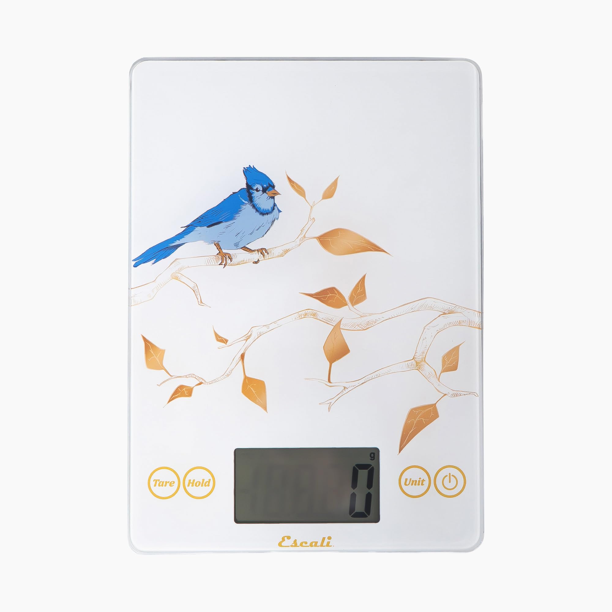 Escali Arti Blue Jay Küchenwaage aus Glas, digitale Küchenwaage, Back- und Kochwaage mit großem Display, 6,8 kg Kapazität, 22,9 x 16,5 x 1,9 cm, Weiß