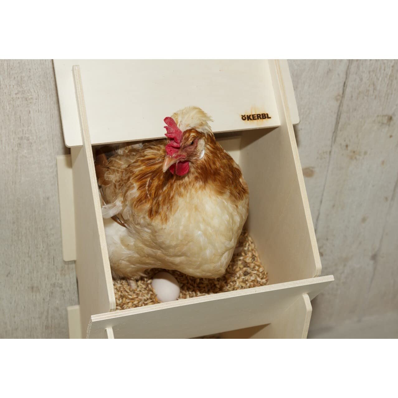 Kerbl 73005 - Nido per Gallina, in Legno, Non Montato, 30 x 35 x 83 cm