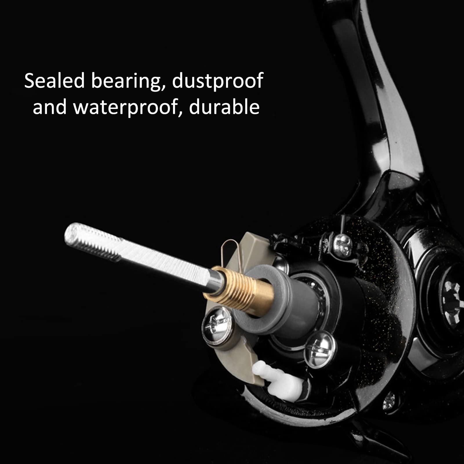 High Speed Fishing Reel Long Life 5.2:1 45° Large Bevel for Fishing (DK3000) Home & Kitchen