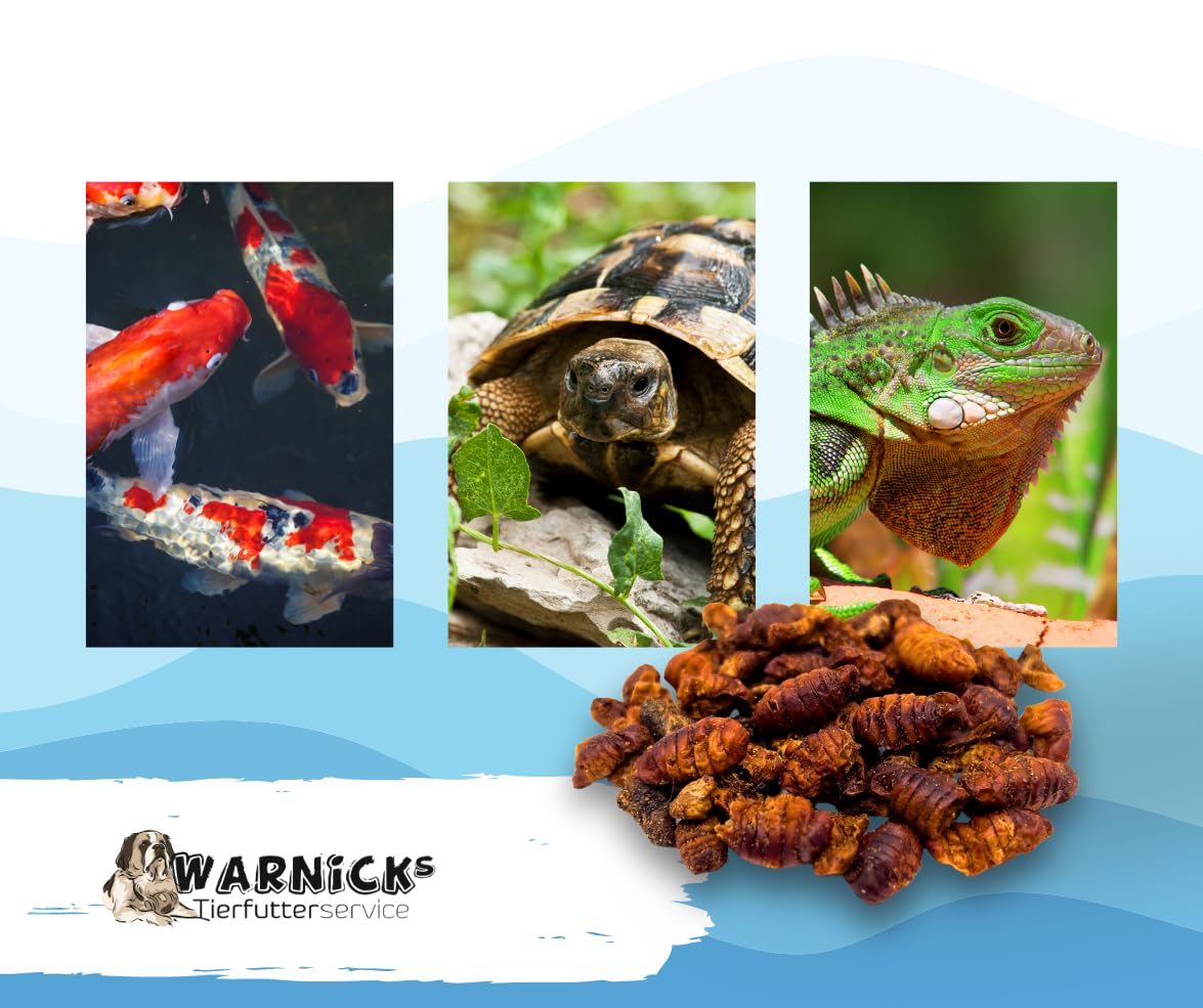 Warnick's Naturhäppchen Seidenraupen getrocknet - 20 Liter | Geeignet als Koifutter, Reptilienfutter, Schildkrötenfutter & vieles mehr - Hoher Eiweißgehalt - Wertvolle Nahrungsergänzung