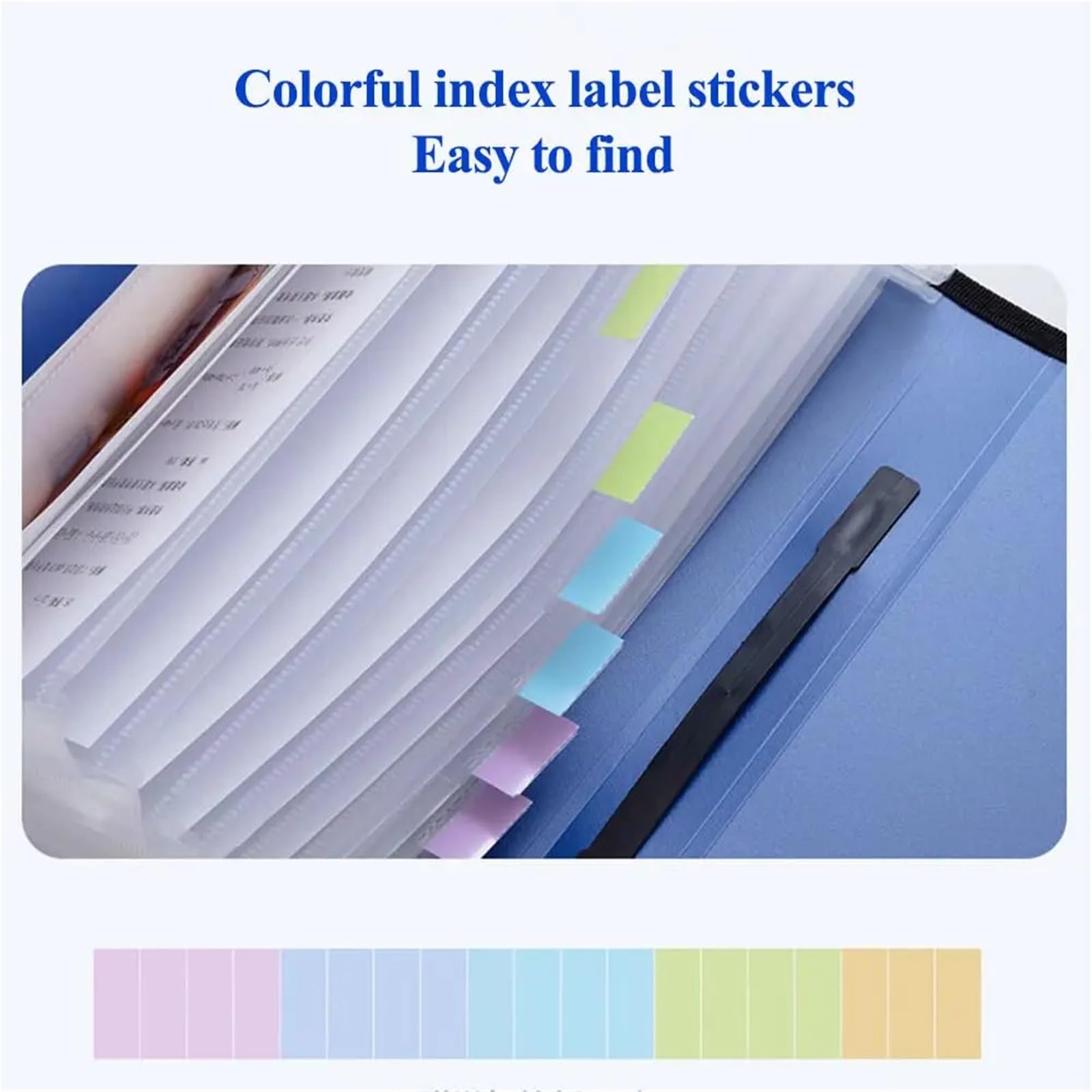 Cartella di file espandibile da 2 pezzi 12 tasche Organizzatore a fisarmonica con etichette, organizzatore portatile ricevute documenti for formato lettera A4