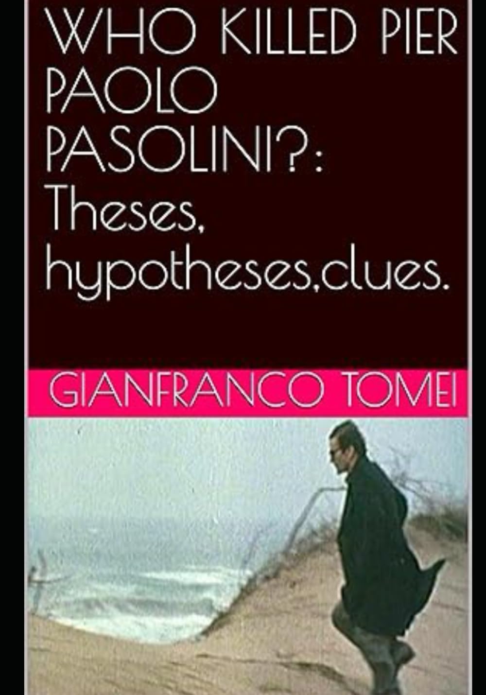 WHO KILLED PIER PAOLO PASOLINI?: Theses, hypotheses,clues.