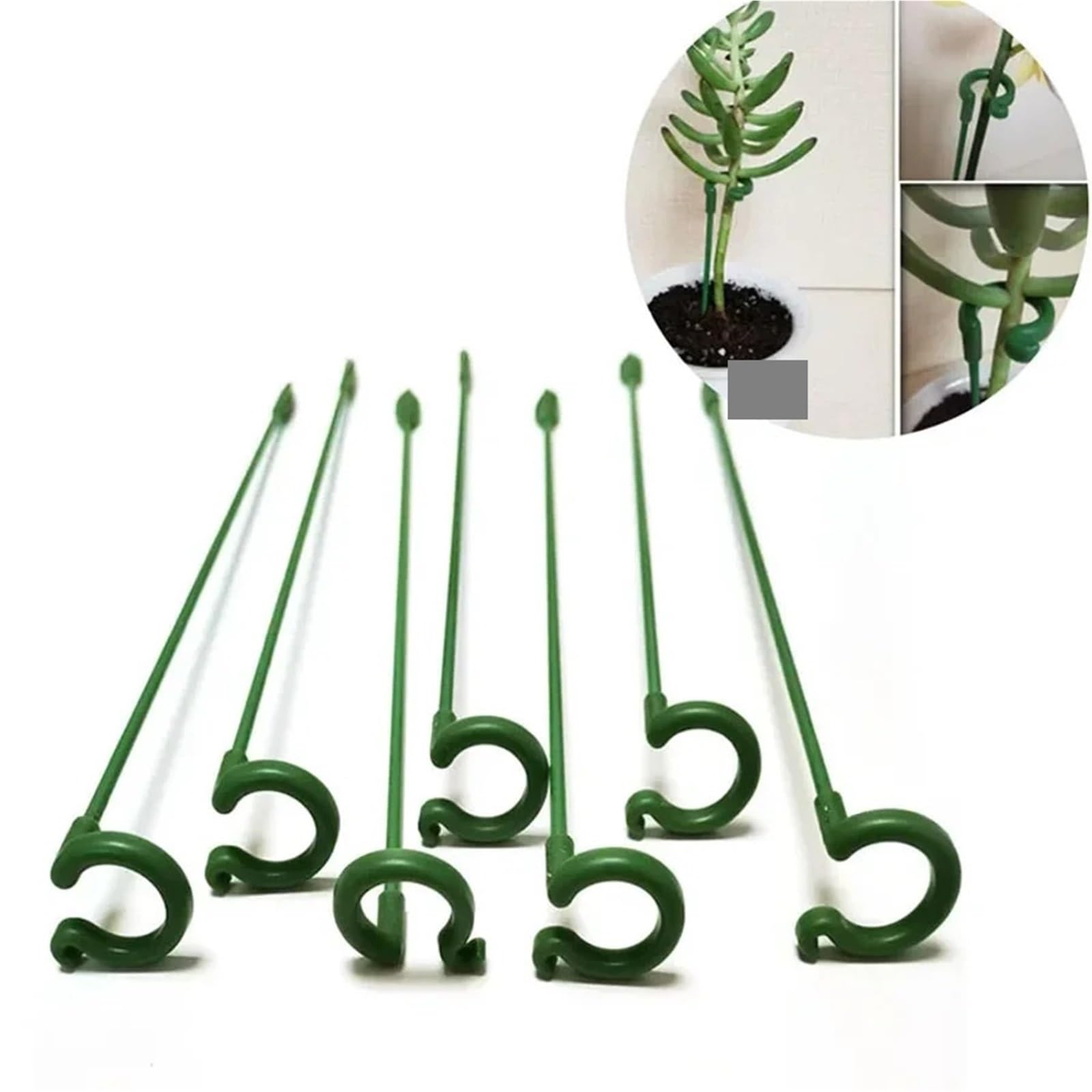40 PCS Plant Supports Stakes pour Fleurs et Plantes Grimpantes