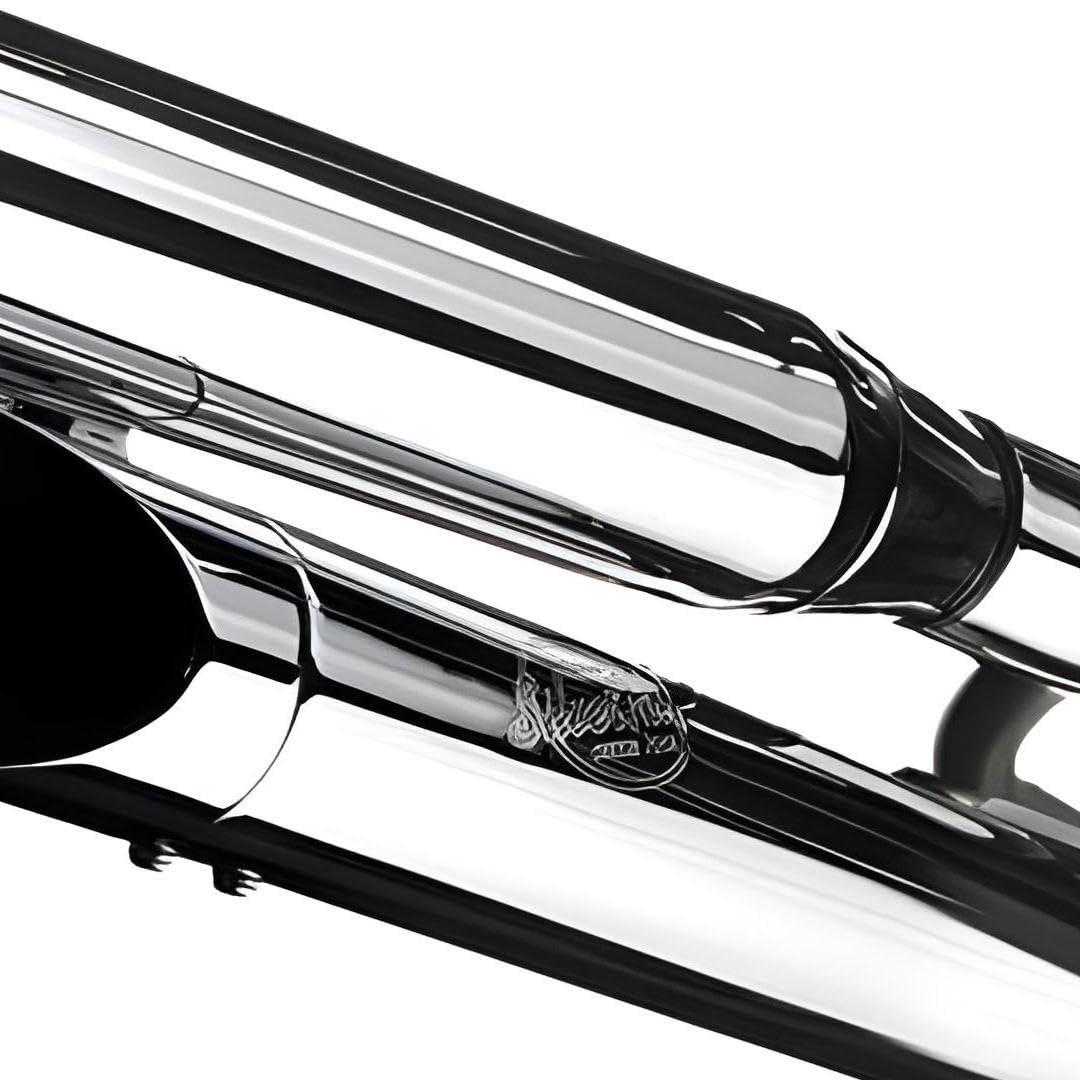 Tłumik końcowy/układ wydechowy LeoVince SLIP-ON SILVERTAIL K02, chromowany do wtryskiwacza Hyosung Aquila GV 125/250