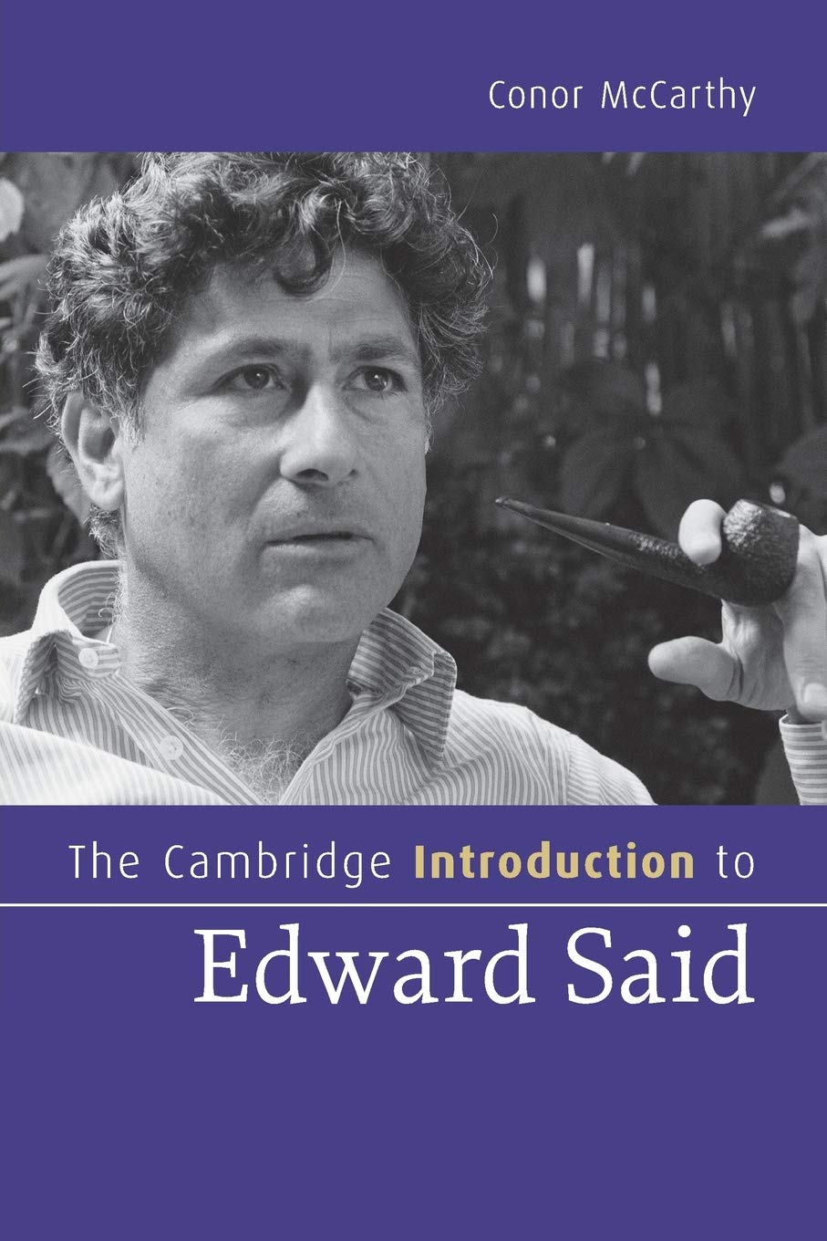 The Cambridge Introduction to Edward Said (Cambridge Introductions to Literature)