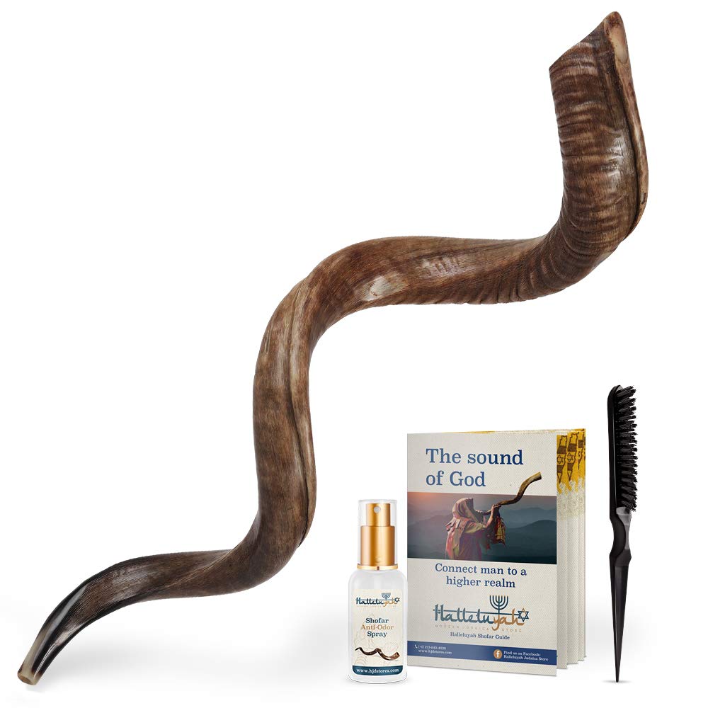 Buy HalleluYAH Shofar From Israel Shofar Set 47" 49" Natural Kudu