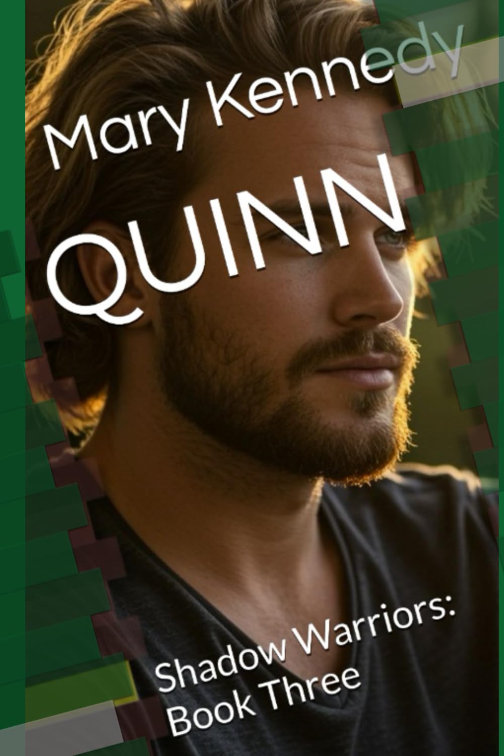 QUINN: Shadow Warriors: Book Three: 3