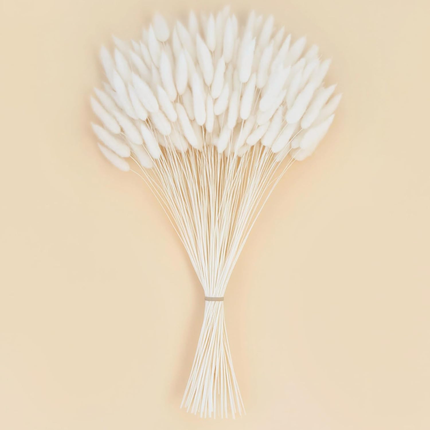 JOHOUSE 120PCS 17" White Dried Bunny Tails Pampas Grass - Fluffy Boho Vase Filler, Wedding & Home Decor