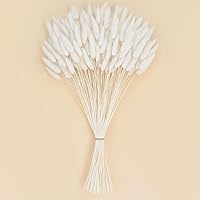 JOHOUSE 120PCS 17" White Dried Bunny Tails Pampas Grass - Fluffy Boho Vase Filler, Wedding & Home Decor