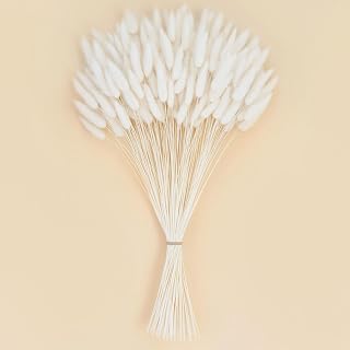JOHOUSE 120PCS 17" White Dried Bunny Tails Pampas Grass - Fluffy Boho Vase Filler, Wedding & Home Decor
