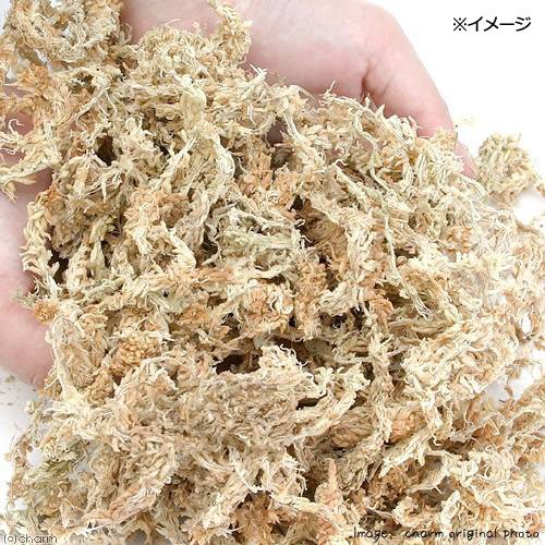 Amazon | ウェットボックスシェルター Mサイズ 爬虫類 ヘビ ヤモリ