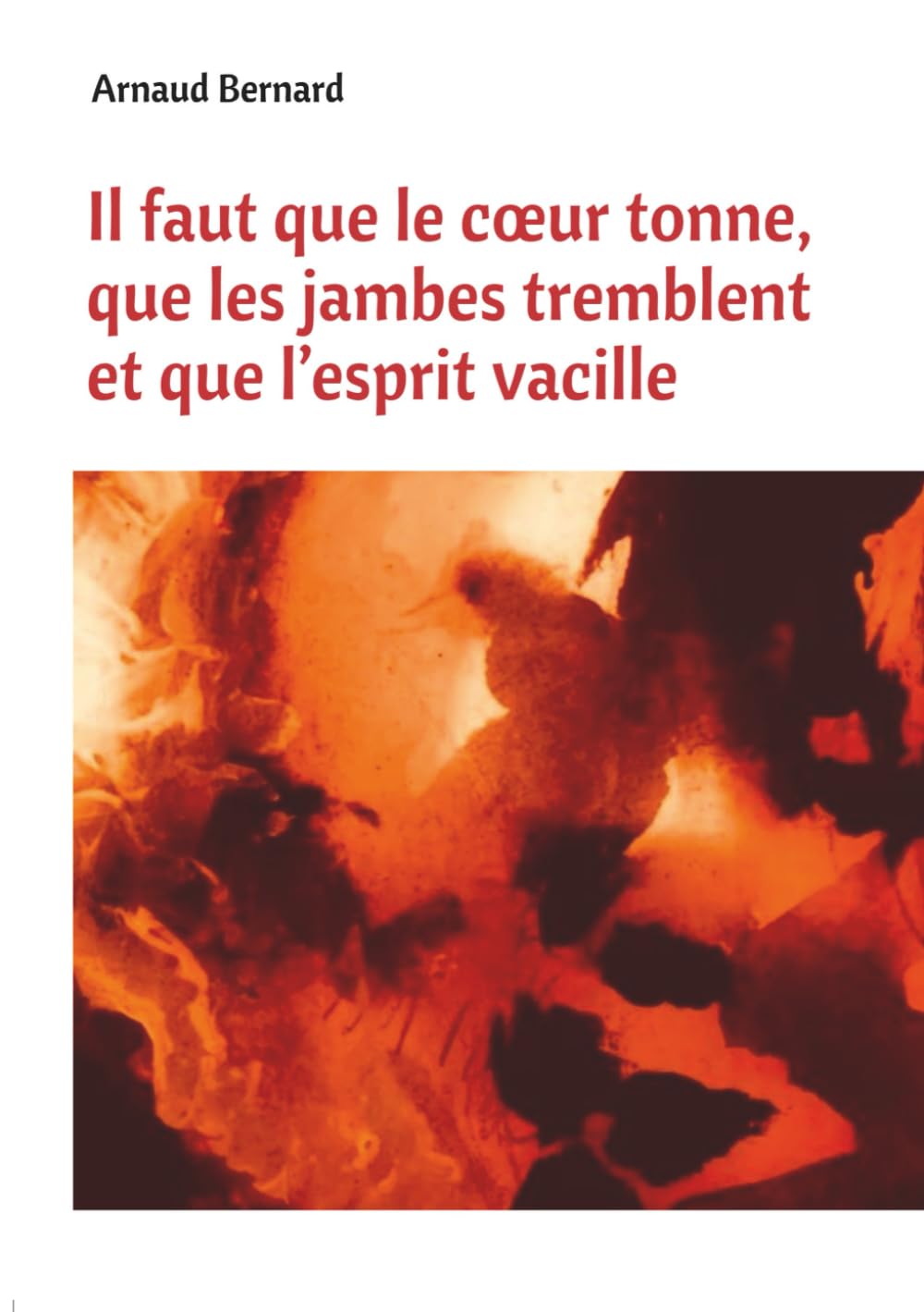 Il faut que le cœur tonne, que les jambes tremblent et que l’esprit vacille