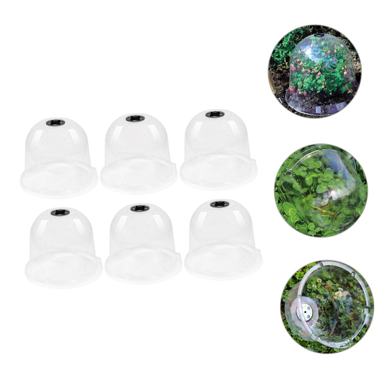 TOYANDONA 6pièces Cloche Plastique Dôme Humidité Couvercle de Jardinière Plastique Bâche de Pépinière Protection pour Plantes Dôme Transparent pour Plantes Cloche de Pépinière Pot Forme